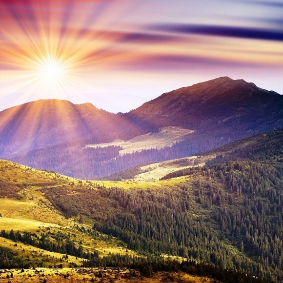 Meet your Posher, Dee - Picture 1 of 1